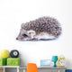 Little hedgehog Wall Decal