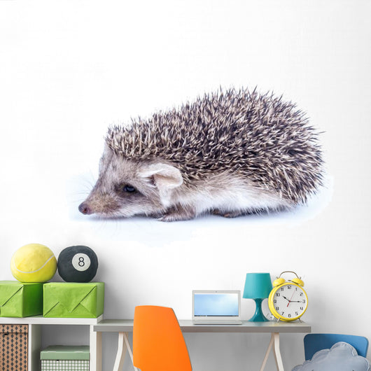 Little hedgehog Wall Decal