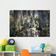 Bayou Swamp Scene with Spanish Moss Wall Mural