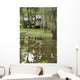 Swamp Bayou Scene of the American South Wall Mural