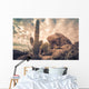 Saguaro cactus tree desert landscape,Arizona. Wall Mural