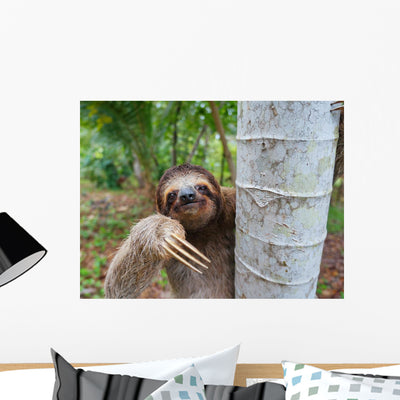 Portrait Brown-throated Three-toed Sloth Wall Mural shown on a wall