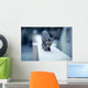 Cat on Wall Wall Decal