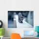 Cat on Wall Wall Decal