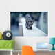 Cat on Wall Wall Decal