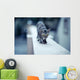 Cat on Wall Wall Decal
