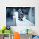 Cat on Wall Wall Decal