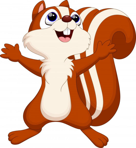 Cute Squirrel Cartoon