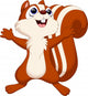 Cute Squirrel Cartoon