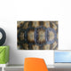 Closeup Turtle Shell Wall Decal