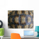 Closeup Turtle Shell Wall Decal