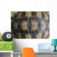 Closeup Turtle Shell Wall Decal