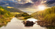 Forest River with Stones Wall Decal