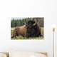 Natural Close-up Photo Big Wall Decal