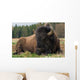 Natural Close-up Photo Big Wall Decal