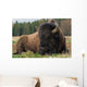 Natural Close-up Photo Big Wall Decal