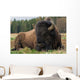 Natural Close-up Photo Big Wall Decal