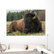 Natural Close-up Photo Big Wall Decal