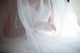 bride under veil Wall Mural