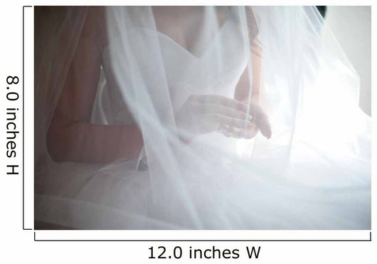 bride under veil Wall Mural