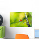 Biological Pest Control Wall Mural