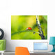 Biological Pest Control Wall Mural