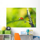 Biological Pest Control Wall Mural