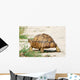 Leopard Turtle Wall Decal