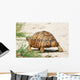 Leopard Turtle Wall Decal