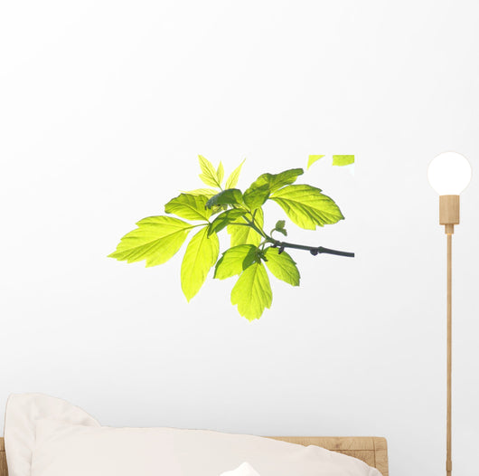 Green Foliage Branch Wall Decal