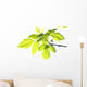 Green Foliage Branch Wall Decal
