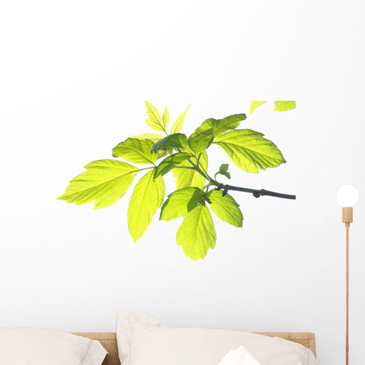 Green Foliage Branch Wall Decal