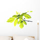 Green Foliage Branch Wall Decal