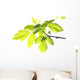 Green Foliage Branch Wall Decal
