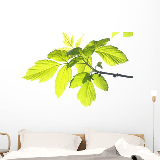 Green Foliage Branch Wall Decal