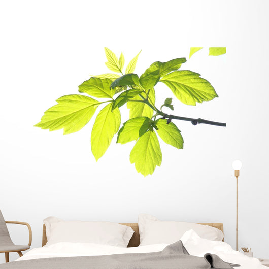 Green Foliage Branch Wall Decal