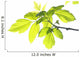 Green Foliage Branch Wall Decal
