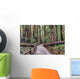 Muir Woods National Monument Hiking Path Wall Mural