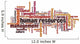 Human Resources wordcloud Wall Decal