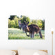 Kangaroos in the bush Wall Mural