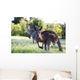 Kangaroos in the bush Wall Mural