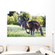 Kangaroos in the bush Wall Mural