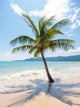 Tropical Beach Koh Samui Wall Decal