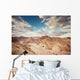 desert landscape. Negev desert in Israel. Wall Decal