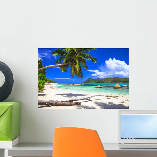 Pure Tropics White Sand Wall Decal