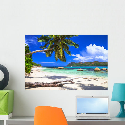 Pure Tropics White Sand Wall Decal