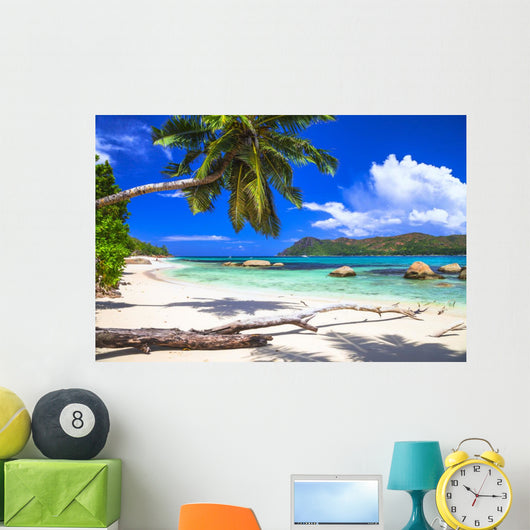 Pure Tropics White Sand Wall Decal