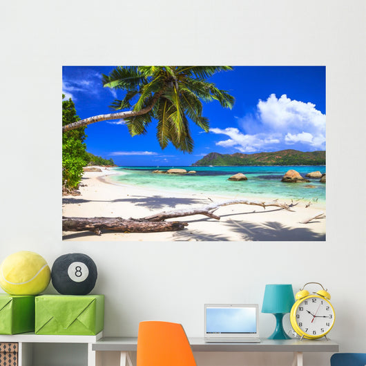 Pure Tropics White Sand Wall Decal