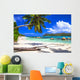 Pure Tropics White Sand Wall Decal