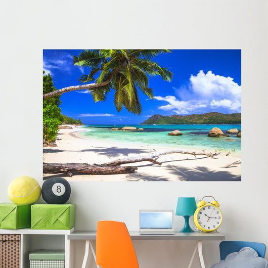 Pure Tropics White Sand Wall Decal